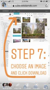 Choose an image and click download