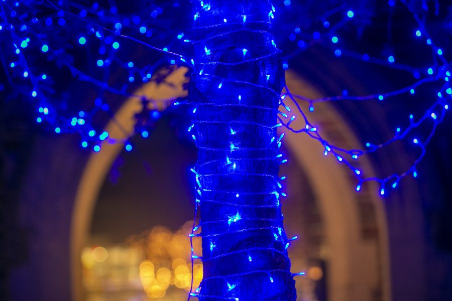 The University Communications team decorated a tree outside of the Brodhead Center with blue string lights for a holiday video.