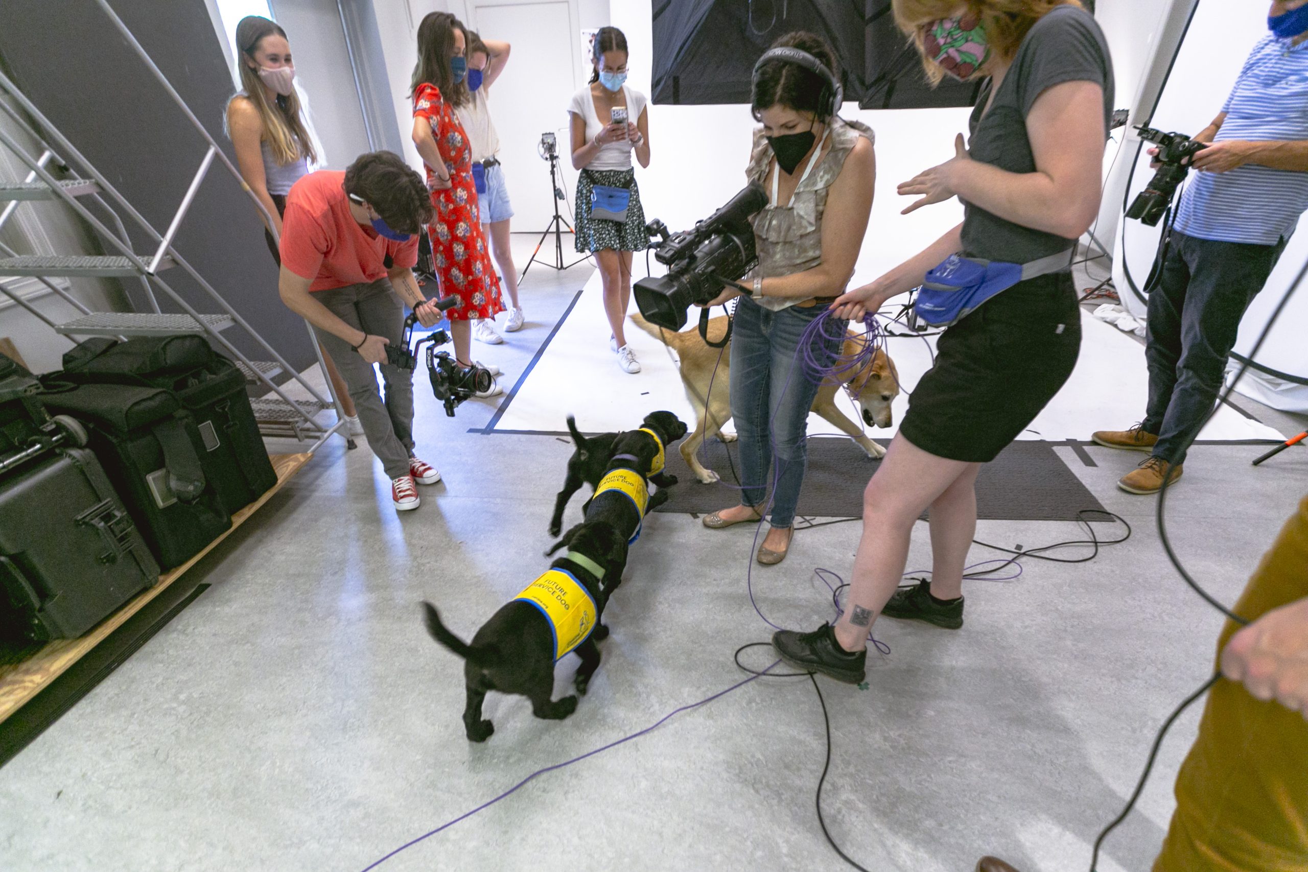The puppies excitedly run around the studio after the class photo as intern Jacob Whatley, Julie Schoonmaker, assistant director of multimedia and production, and Emily Frachtling, digital multimedia producer, capture video of the action.